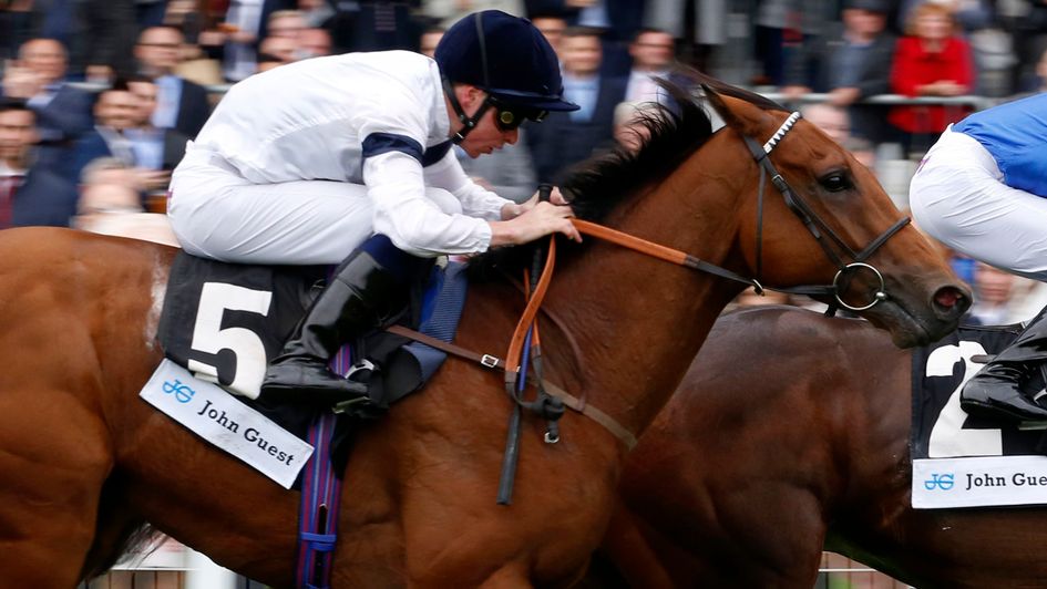 Projection - big chance in the Hackwood Stakes