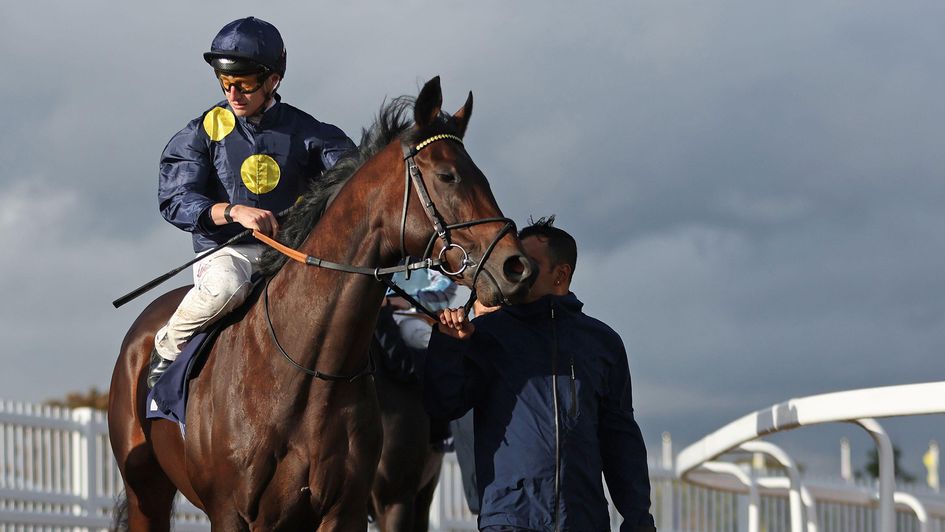 Lincoln contender Eternal Force