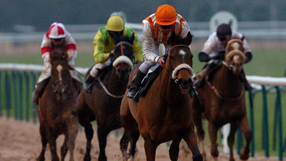 16-time Southwell winner La Estrella