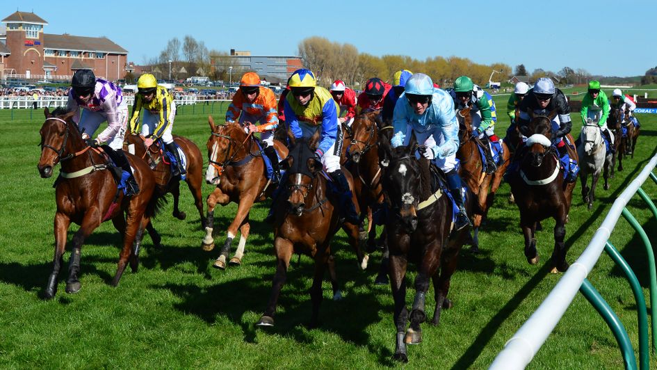 Check out Sky Bet's latest odds on the Scottish National