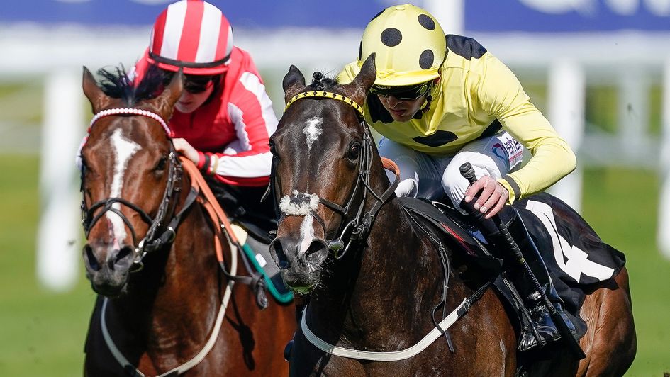 Cold Case wins under Clifford Lee