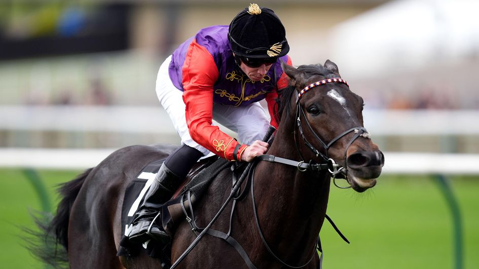 Portcullis makes a deep impression in the Wood Ditton