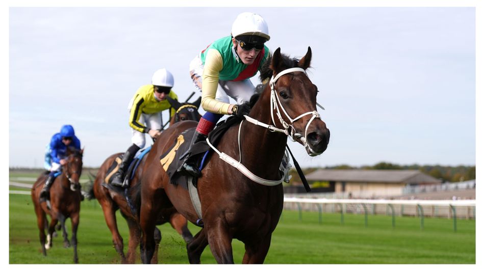 Netherstream wins at Newmarket