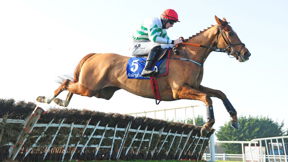 Zanahiyr jumps big and bold