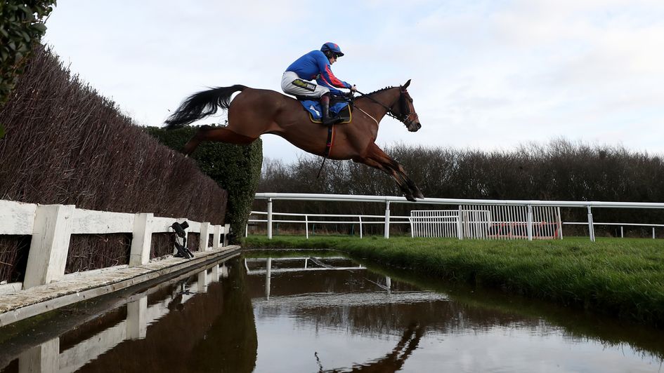 The Hollow Ginge in action