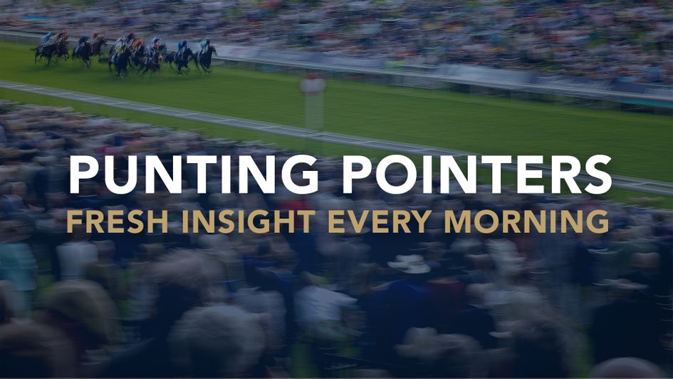 Don't miss the latest advice from the Punting Pointers team