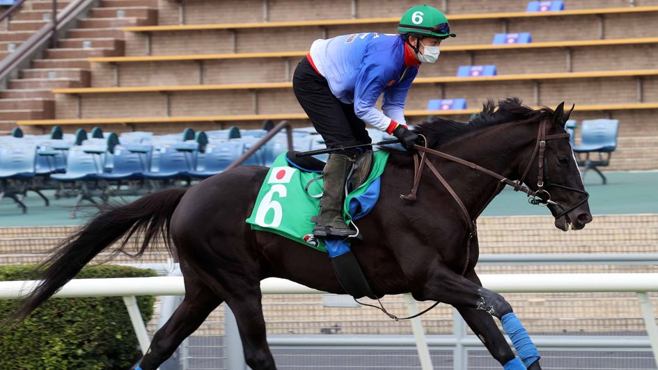 Glory Vase being put through his paces