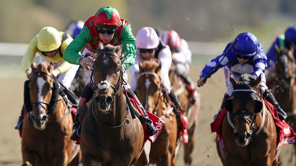 Diligent Harry impresses at Lingfield
