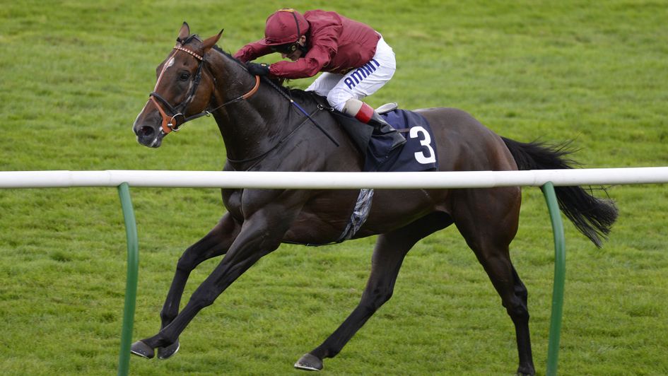 Pallasator will embark on a hurdling career