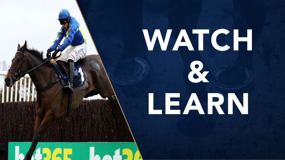 Shan Blue put up a much-improved performance at Wetherby