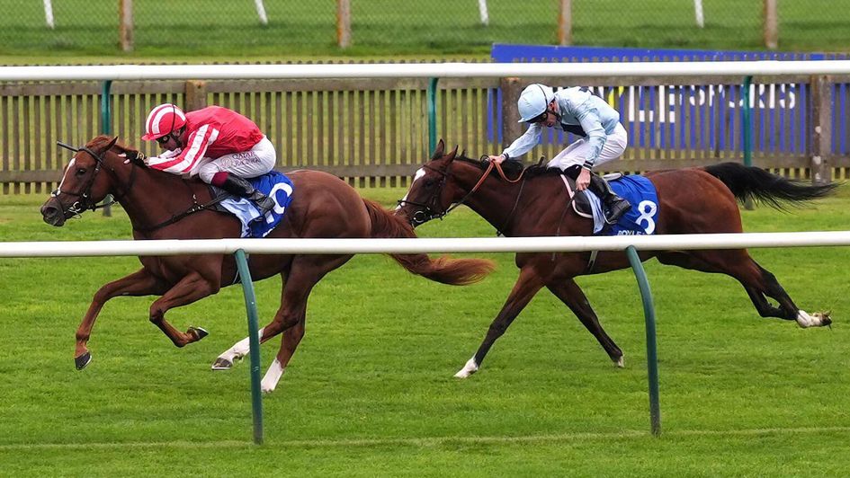 Zanthos battles to Rockfel glory