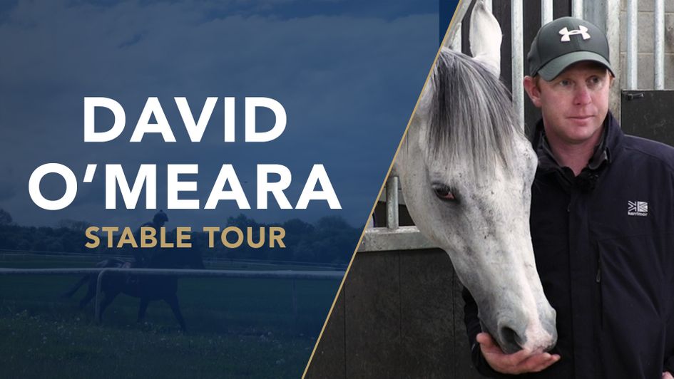 Don't miss David O'Meara's 2021 stable tour