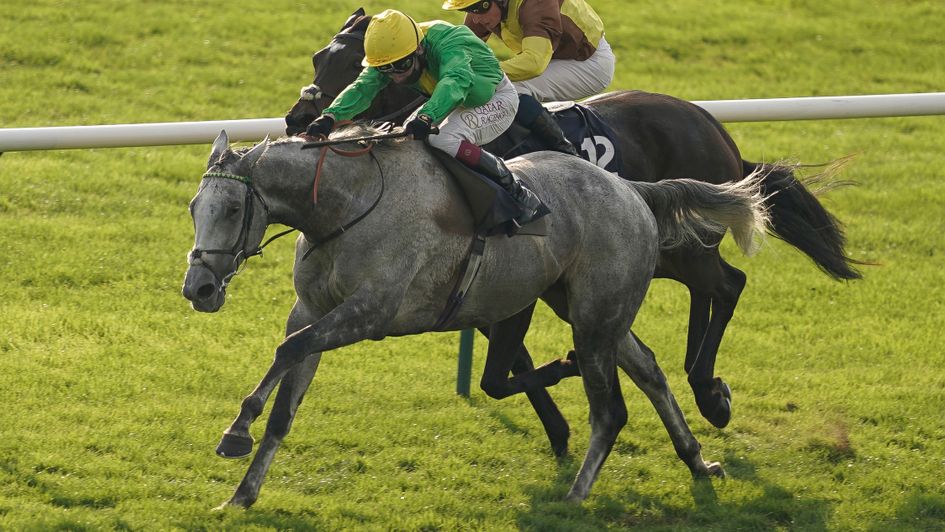 Buzz wins the Cesarewitch under Oisin Murphy