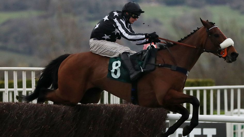 Imperial Aura clears the last at Cheltenham