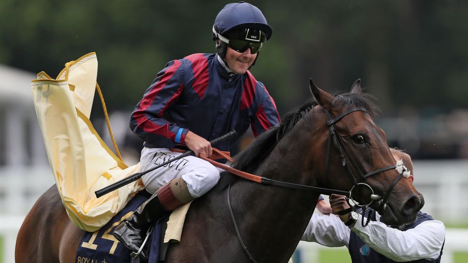 The Tin Man and jockey Tom Queally