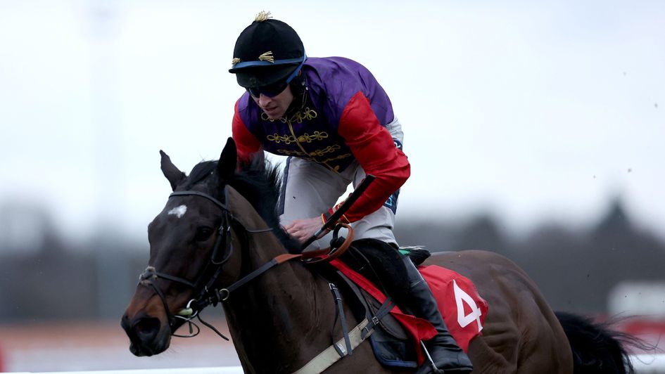 Fine Shot wins the bumper at Kempton