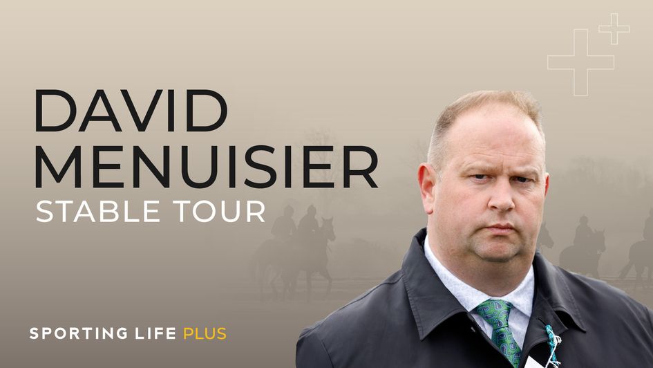 David Menuisier Stable Tour