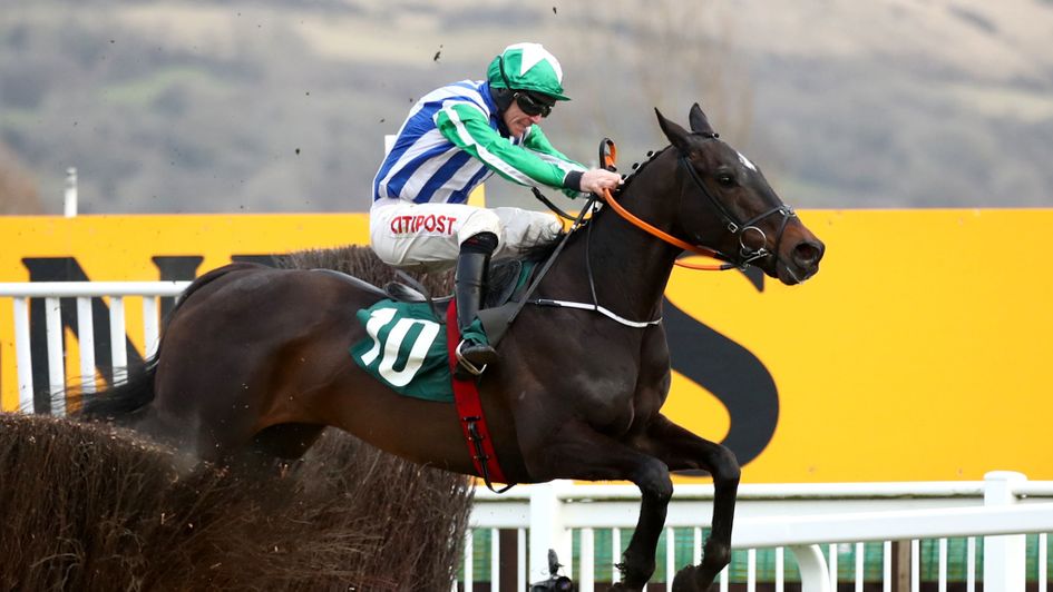 Chosen Mate lands a gamble in the Grand Annual