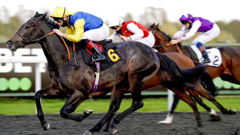 Popmaster looks a bet on day one at Newmarket