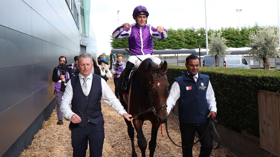 Delacroix walks in at Leopardstown after his Irish Champion Stakes win