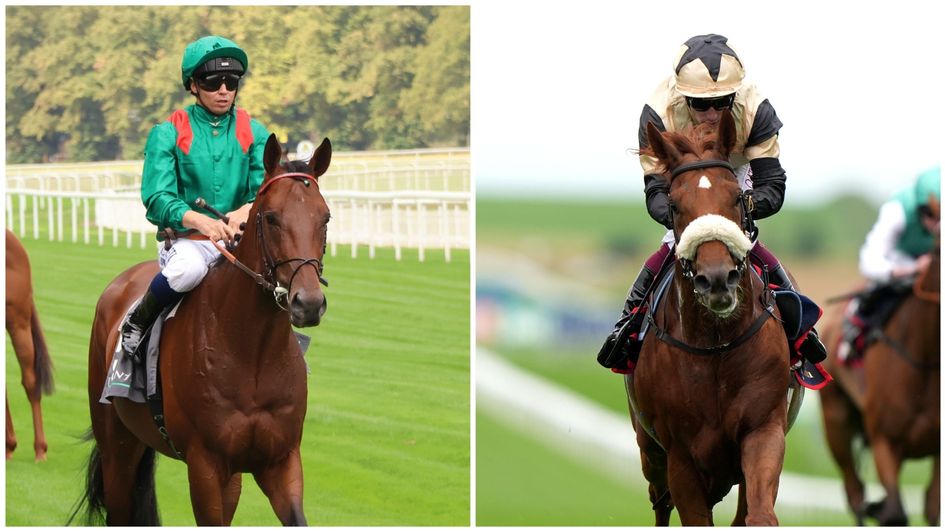 Daryz (left) and Giavellotto