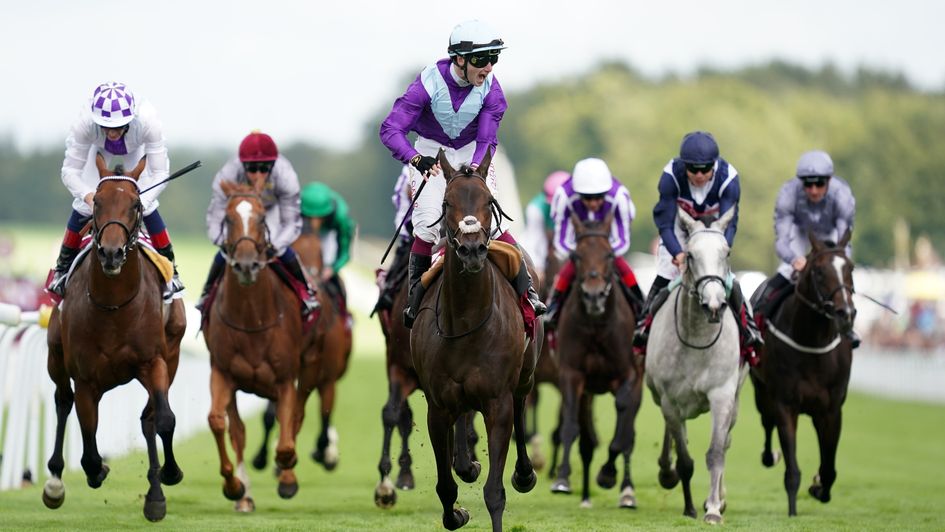 A head-on view of Alcohol Free winning the Sussex Stakes