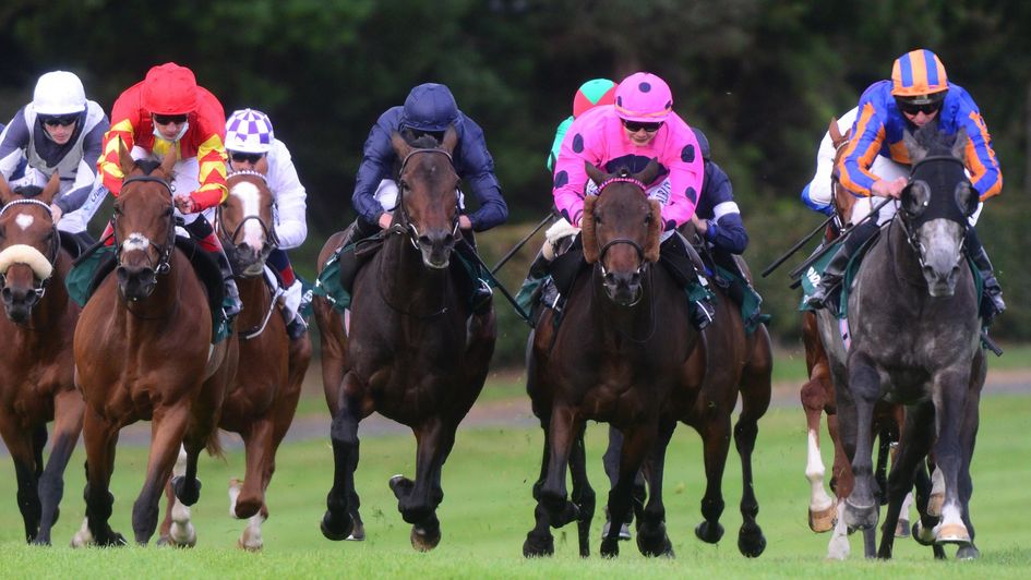 Tiger Moth (navy blue silks)