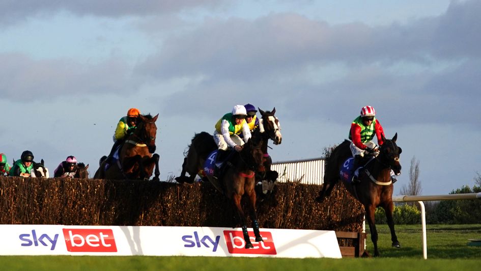 Windsor Avenue (right) winning the Sky Bet Chase
