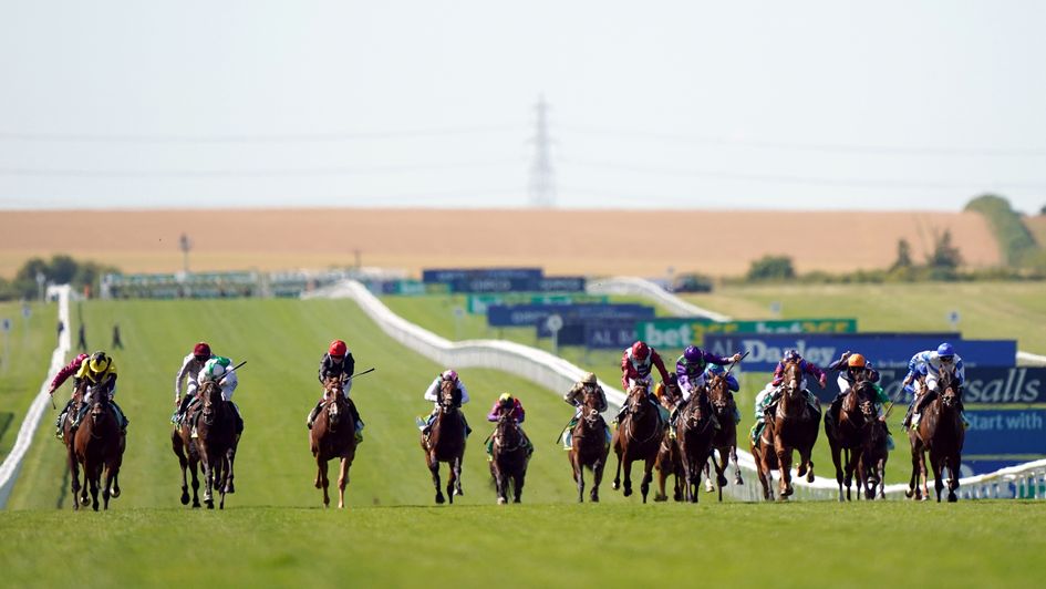 The splendid sight of the Bunbury Cup field on Super Saturday