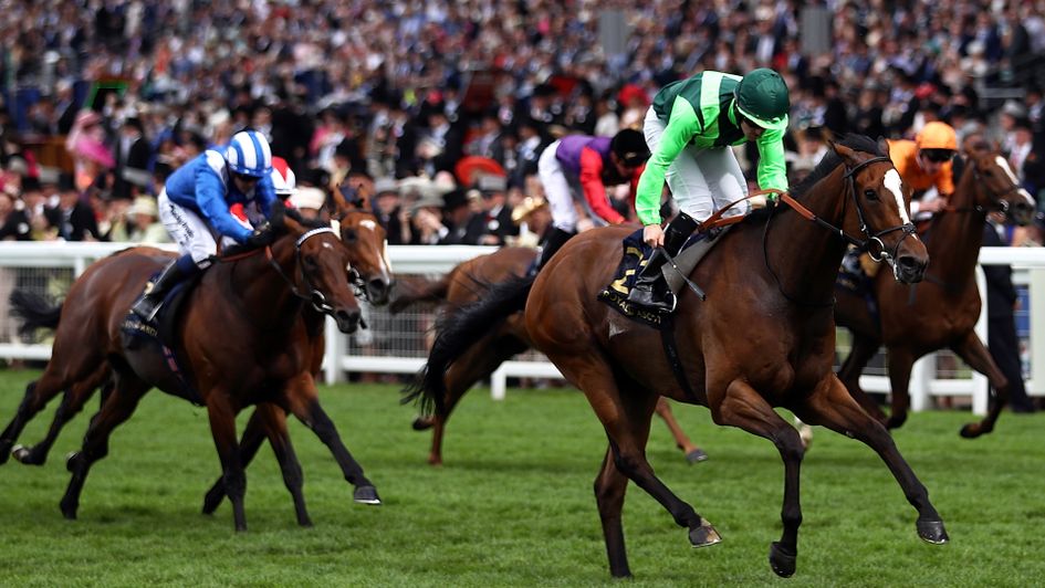 Settle For Bay wins the Hunt Cup at Royal Ascot under Billy Lee