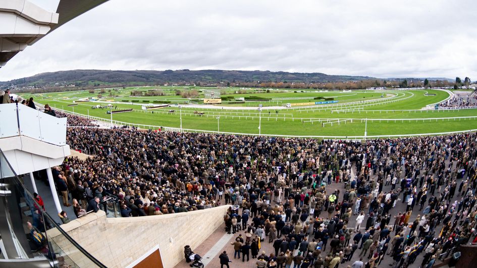 The huge crowd at Cheltenham on New Year's Day