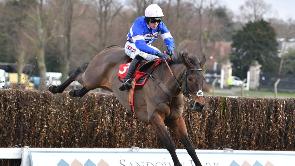 Dolos winning at Sandown