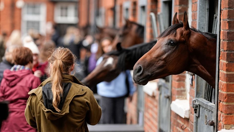 Visitors at last years Henry Cecil Open Weekend in Newmarket