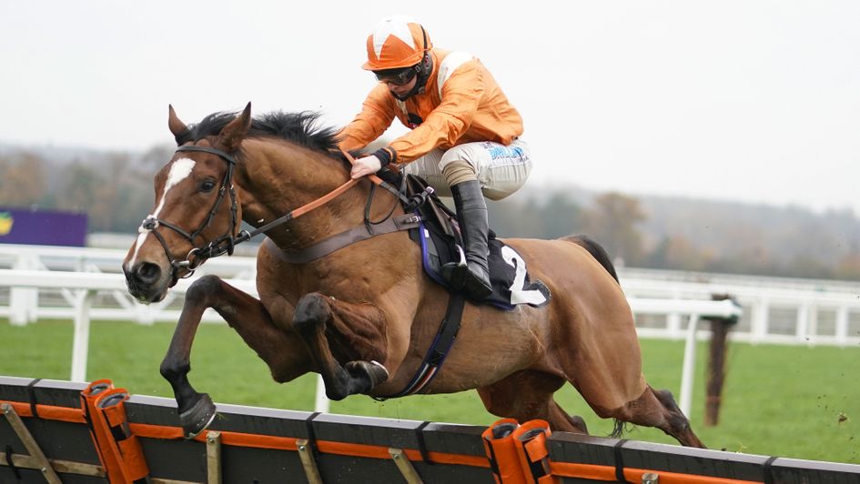 Metier impresses at Ascot