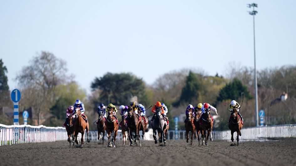 The scene up the home straight at Kempton