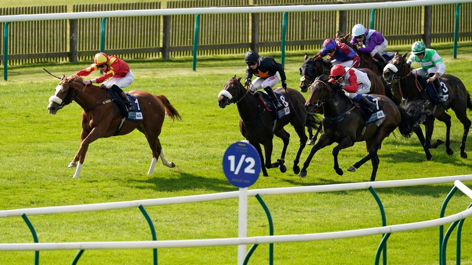 Gale Force Maya pulls clear at Newmarket