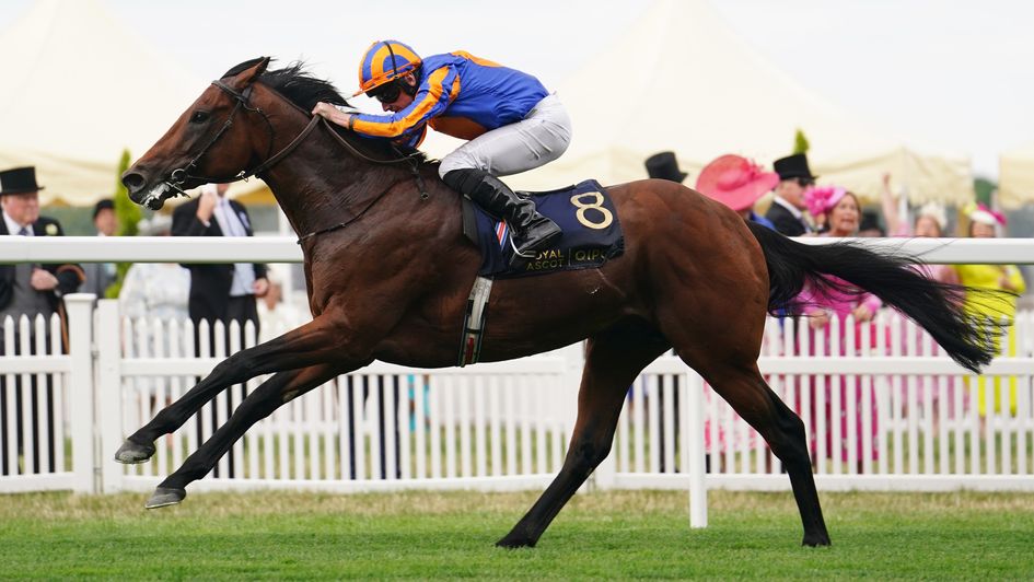 Paddington wins the St James's Palace Stakes