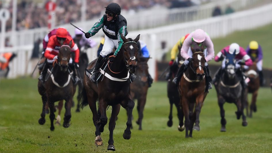 Altior wins the 2016 Sky Bet Supreme with a host of future star names in behind