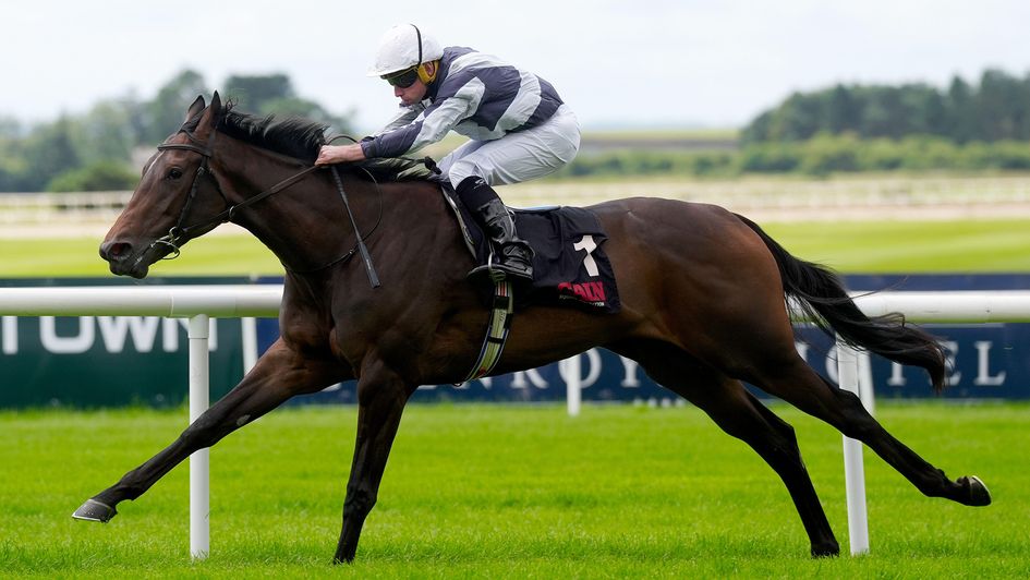 Well-bred filly Alpha strides clear under Ryan Moore