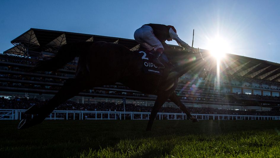 Cracksman heads off into the sunset at Ascot