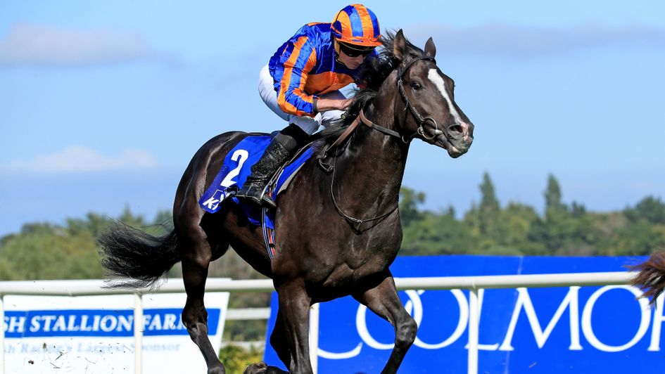 Auguste Rodin winning at Leopardstown