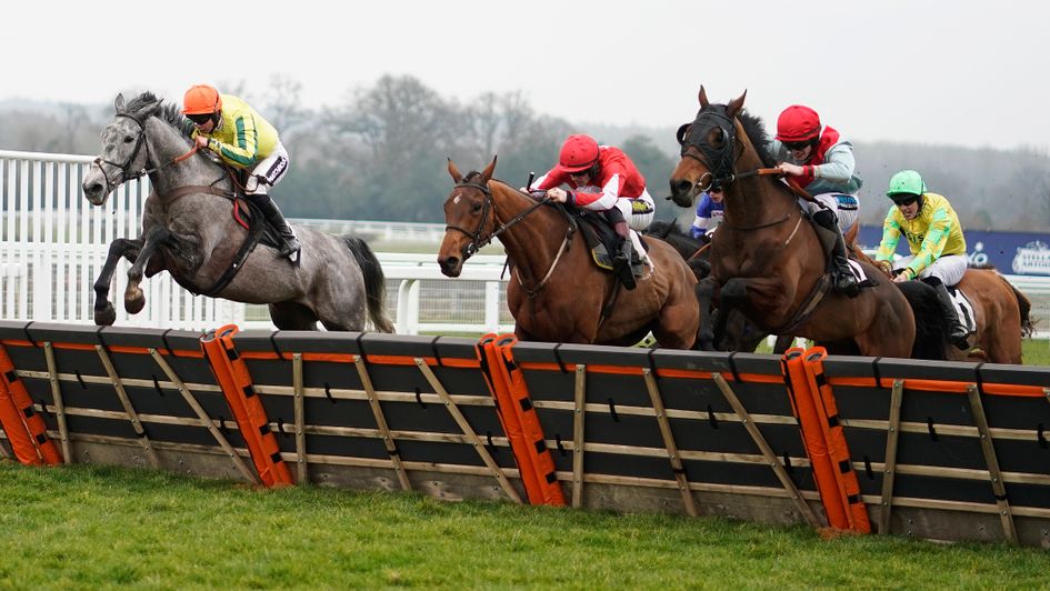 Brio Conti (25/1) was among eight Saturday winners for Paul Nicholls