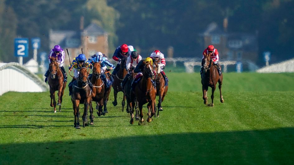 Another Ascot win for Trueshan