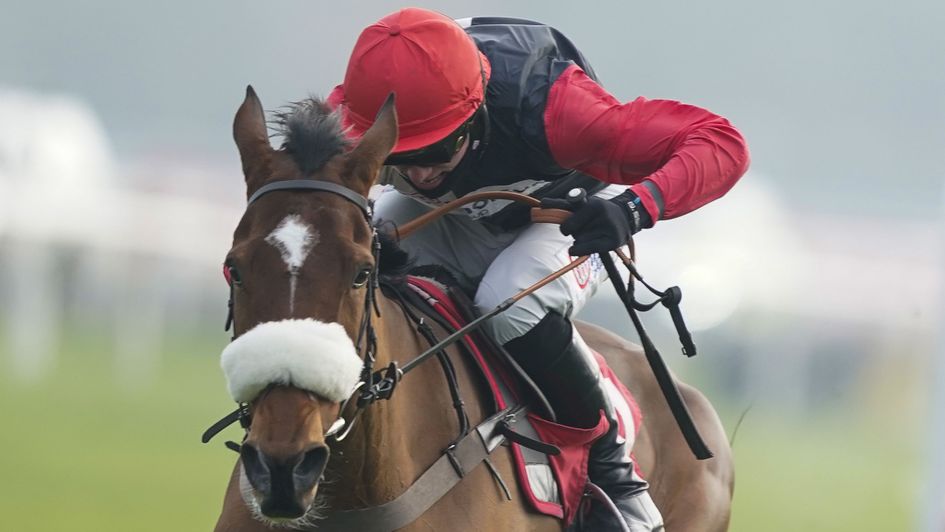 Barbados Bucks - leading fancy for Ballymore