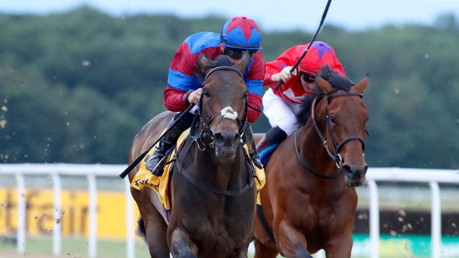 Northumberland Plate winner Caravan Of Hope