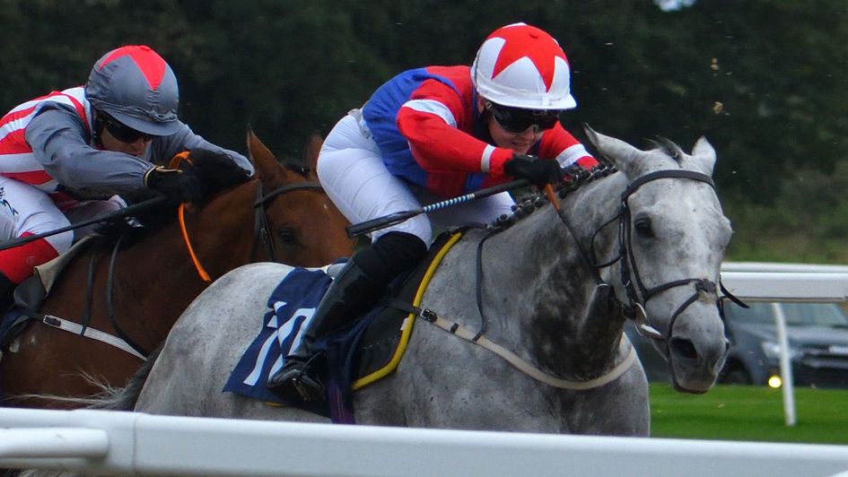 Saisons D'Or - races for 100th time