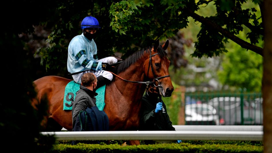 Mark Howard Racining Royal Ascot tips: Mark Howard's best bets