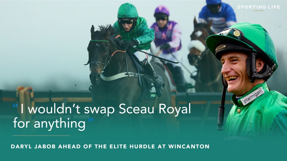 Daryl Jacob can't hide his love for Sceau Royal