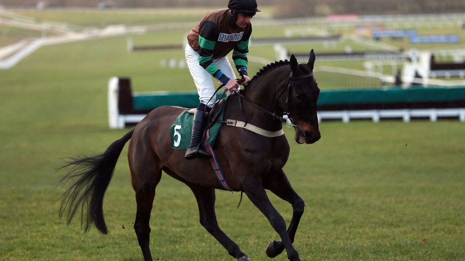Knockara Beau: Won at 66/1 on Cheltenham Trials Day 2014 after a wind op