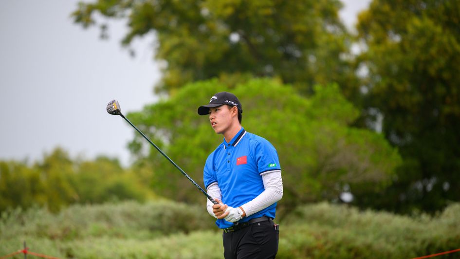 Wenyi Ding has superstar potential but is priced accordingly